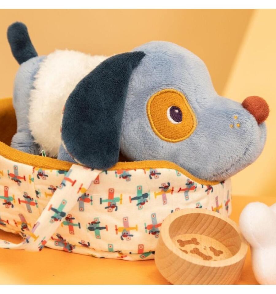 Jules the dog and his basket