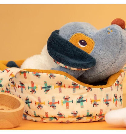 Jules the dog and his basket