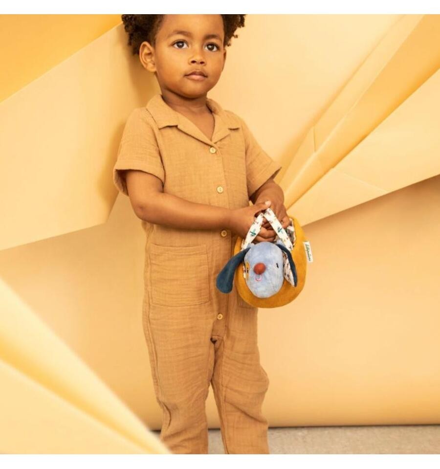 Jules the dog and his basket