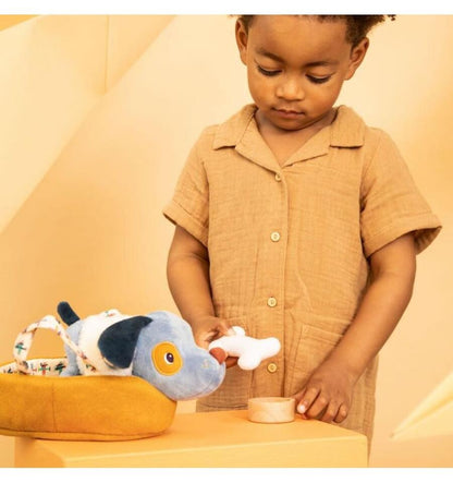 Jules the dog and his basket