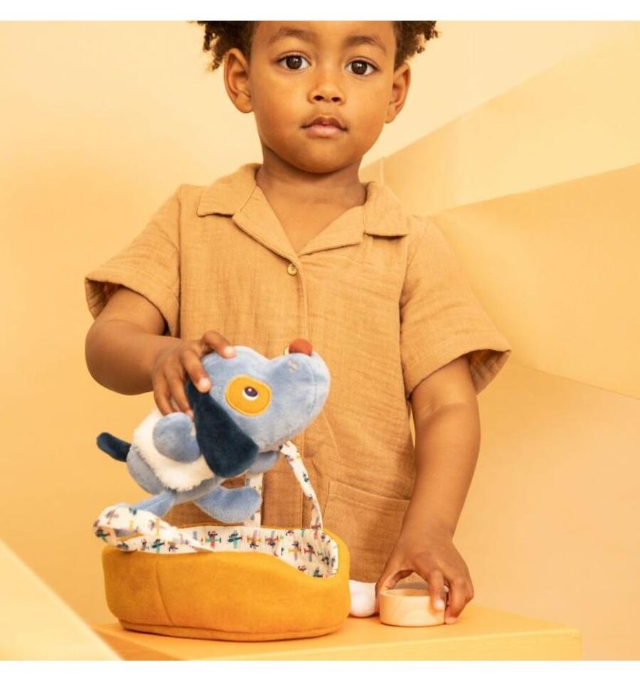 Jules the dog and his basket