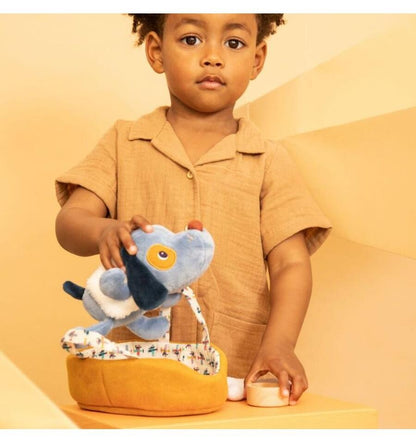 Jules the dog and his basket