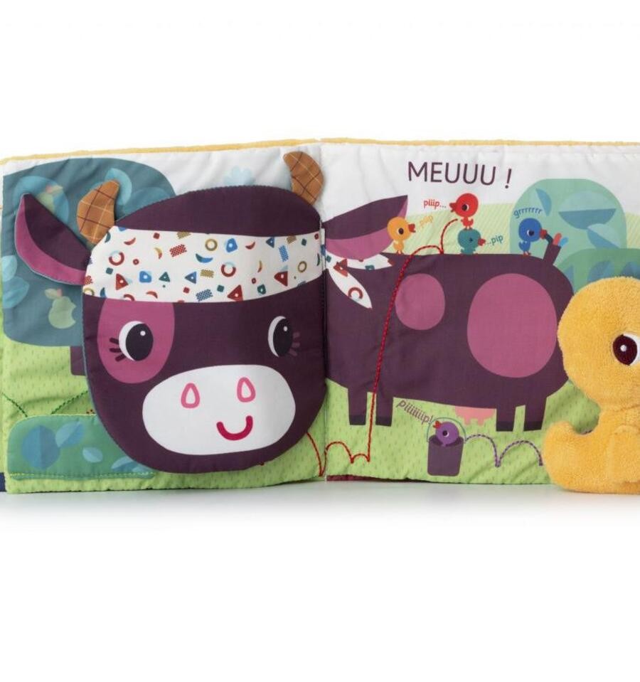 Gaspard on the Farm, Activity Book