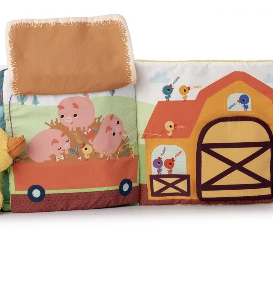 Gaspard on the Farm, Activity Book