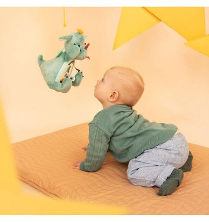 Joe, Peek-A-Boo Sensory Mirror