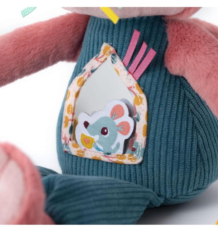 Jeanne the multi-activity cat