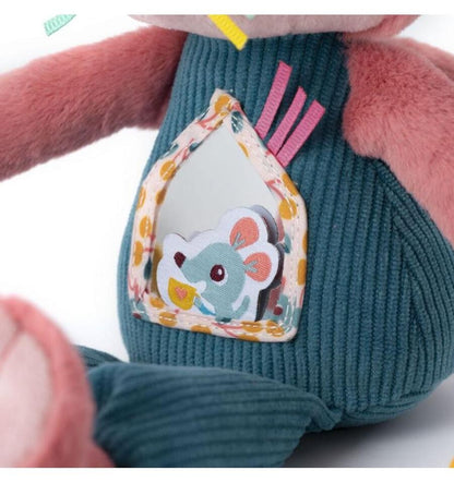 Jeanne the multi-activity cat