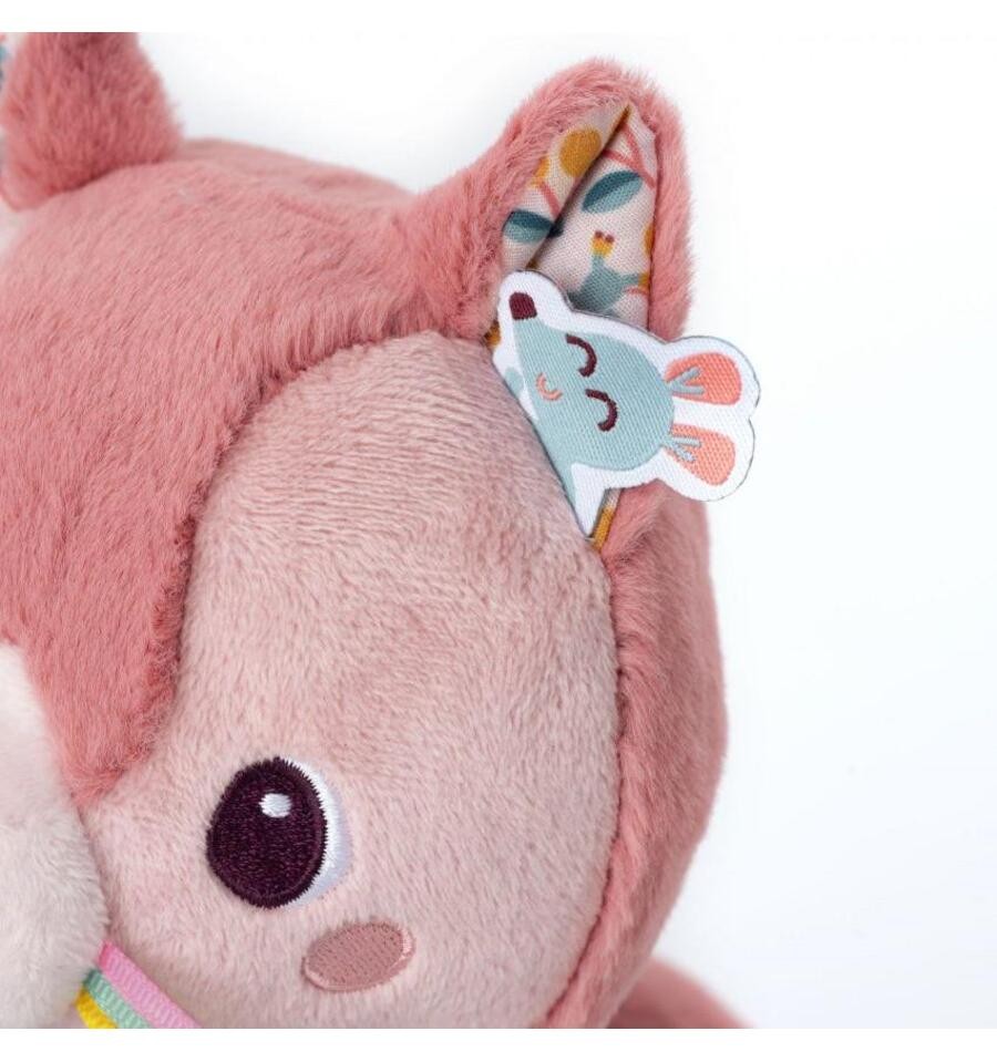 Jeanne the multi-activity cat