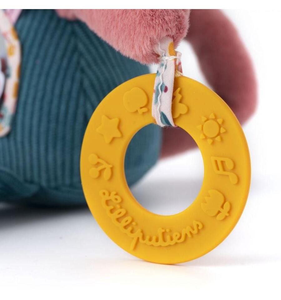 Jeanne the multi-activity cat