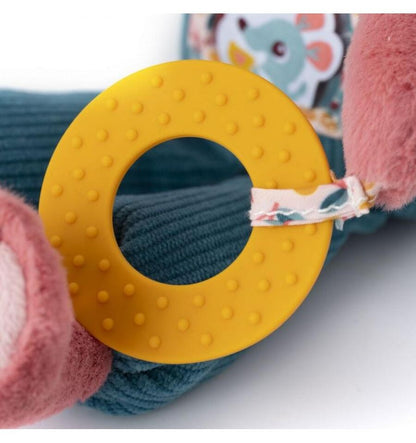 Jeanne the multi-activity cat