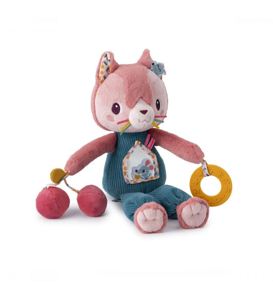 Jeanne the multi-activity cat