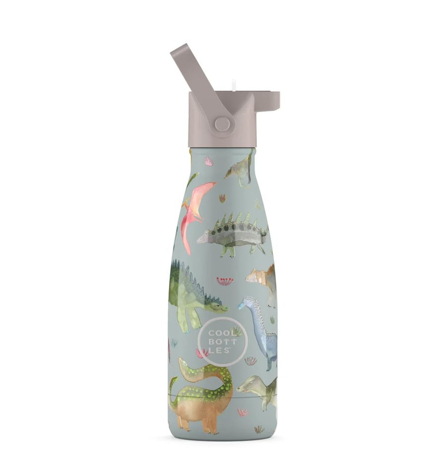 Dinos Planet, 260 ml Kids Water Bottle