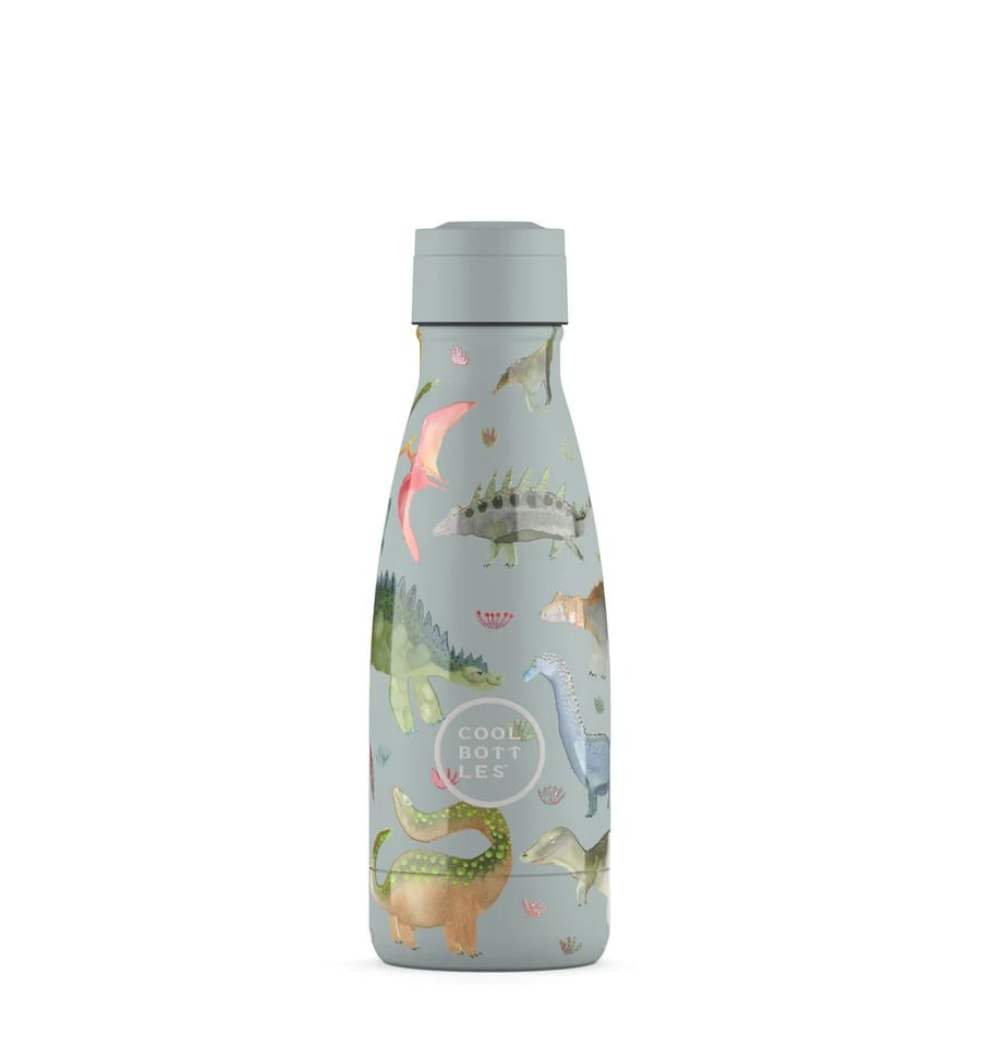 Dinos Planet, 260 ml Kids Water Bottle
