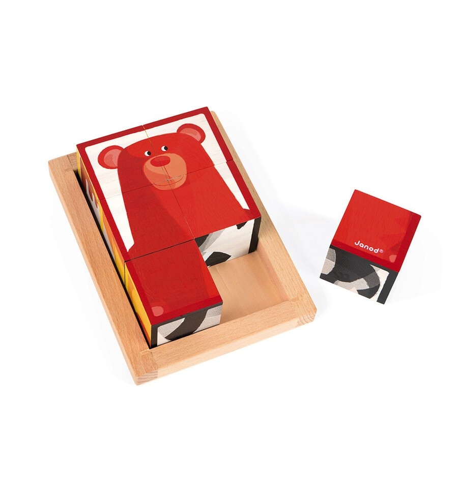 Set of 6 Zigolos Forest Cubes in a Wooden Box