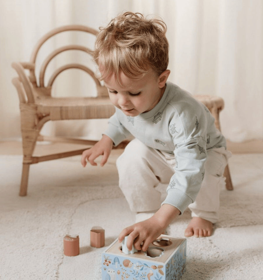 Fit the Forest Friends shapes