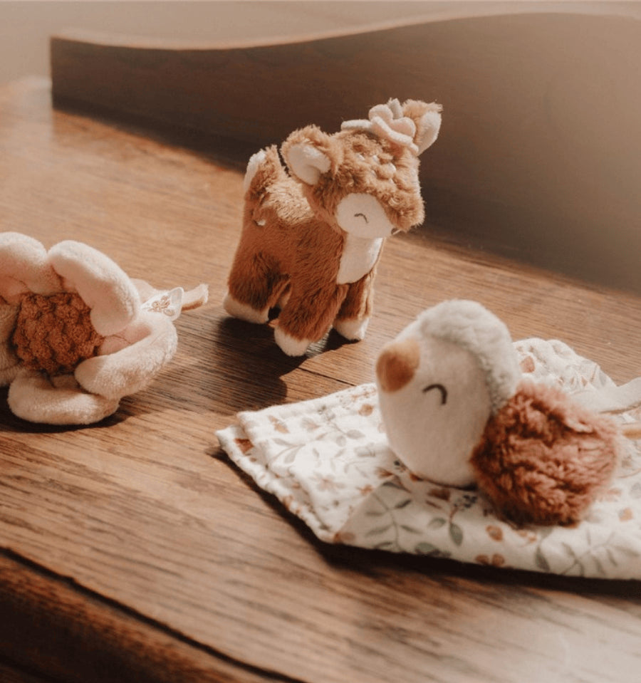 Fairy Garden Gift Box