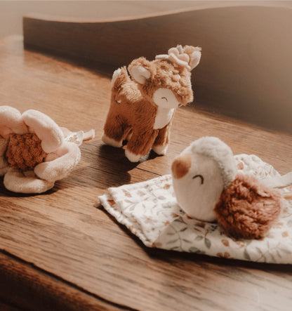 Fairy Garden Gift Box