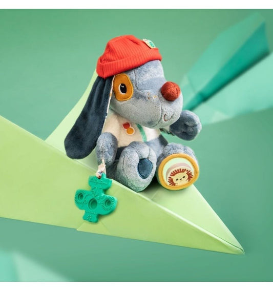 Jules, the multi-activity dog