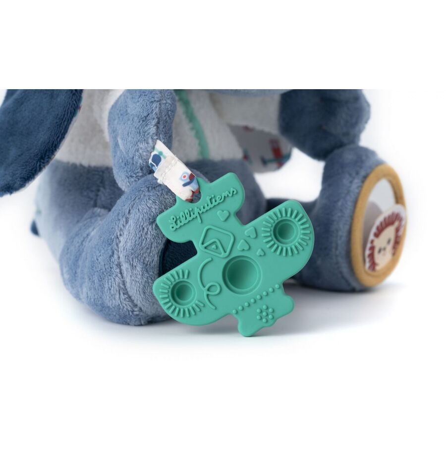 Jules, the multi-activity dog