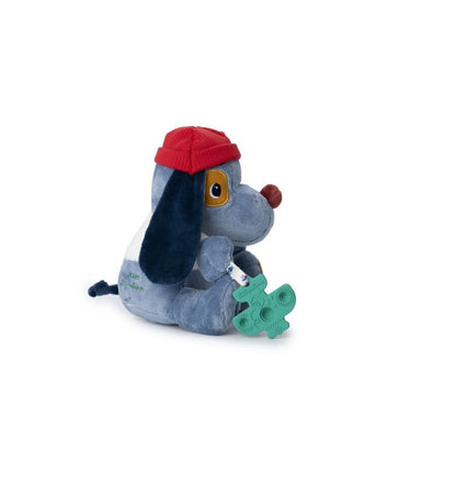 Jules, the multi-activity dog