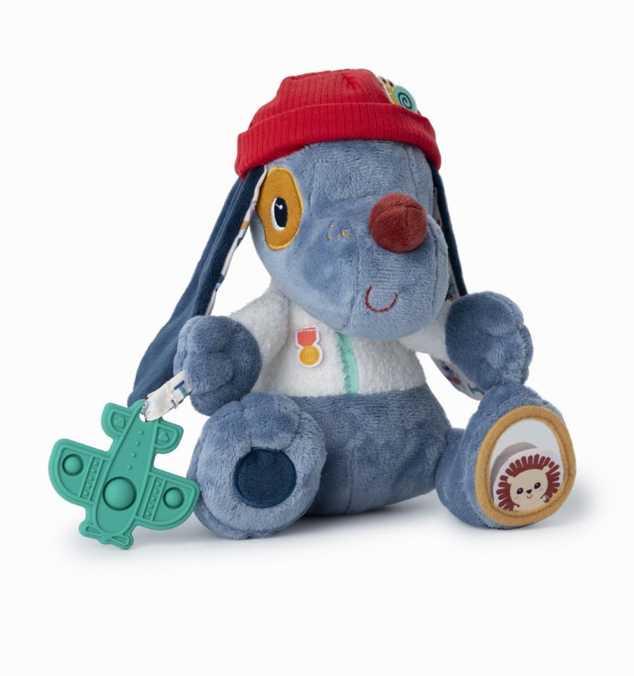 Jules, the multi-activity dog