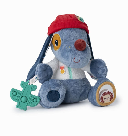 Jules, the multi-activity dog