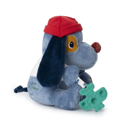 Jules, the multi-activity dog