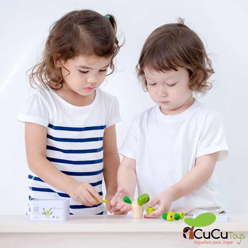 Mini cacto de lata em equilíbrio