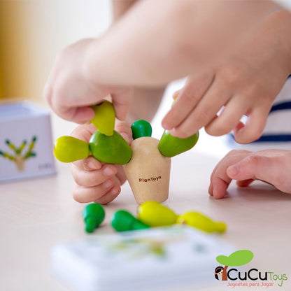 Mini cacto de lata em equilíbrio