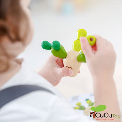 Mini cacto de lata em equilíbrio