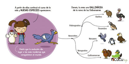 Evolution, Future Geniuses (3)