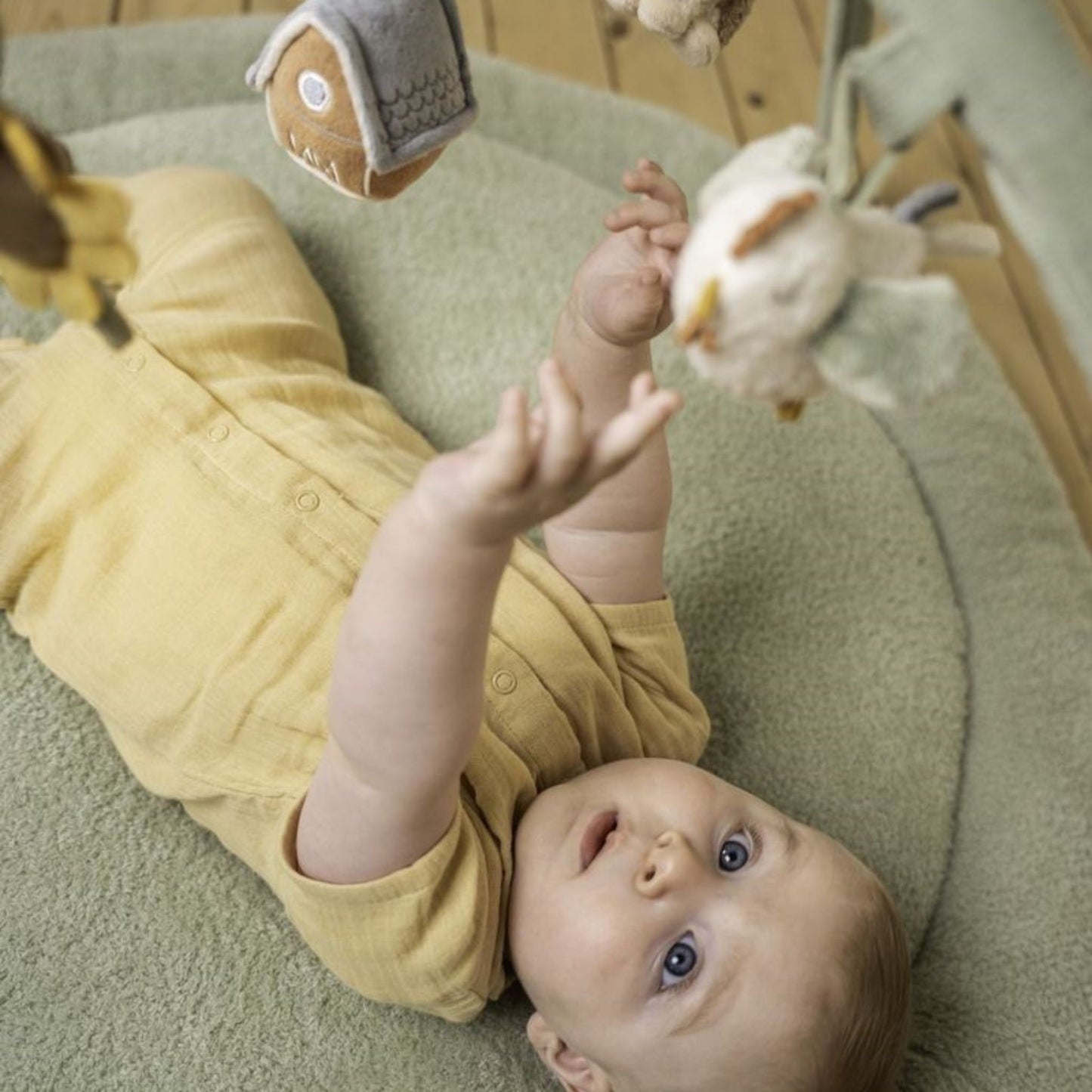 Little Farm Play and Activity Blanket