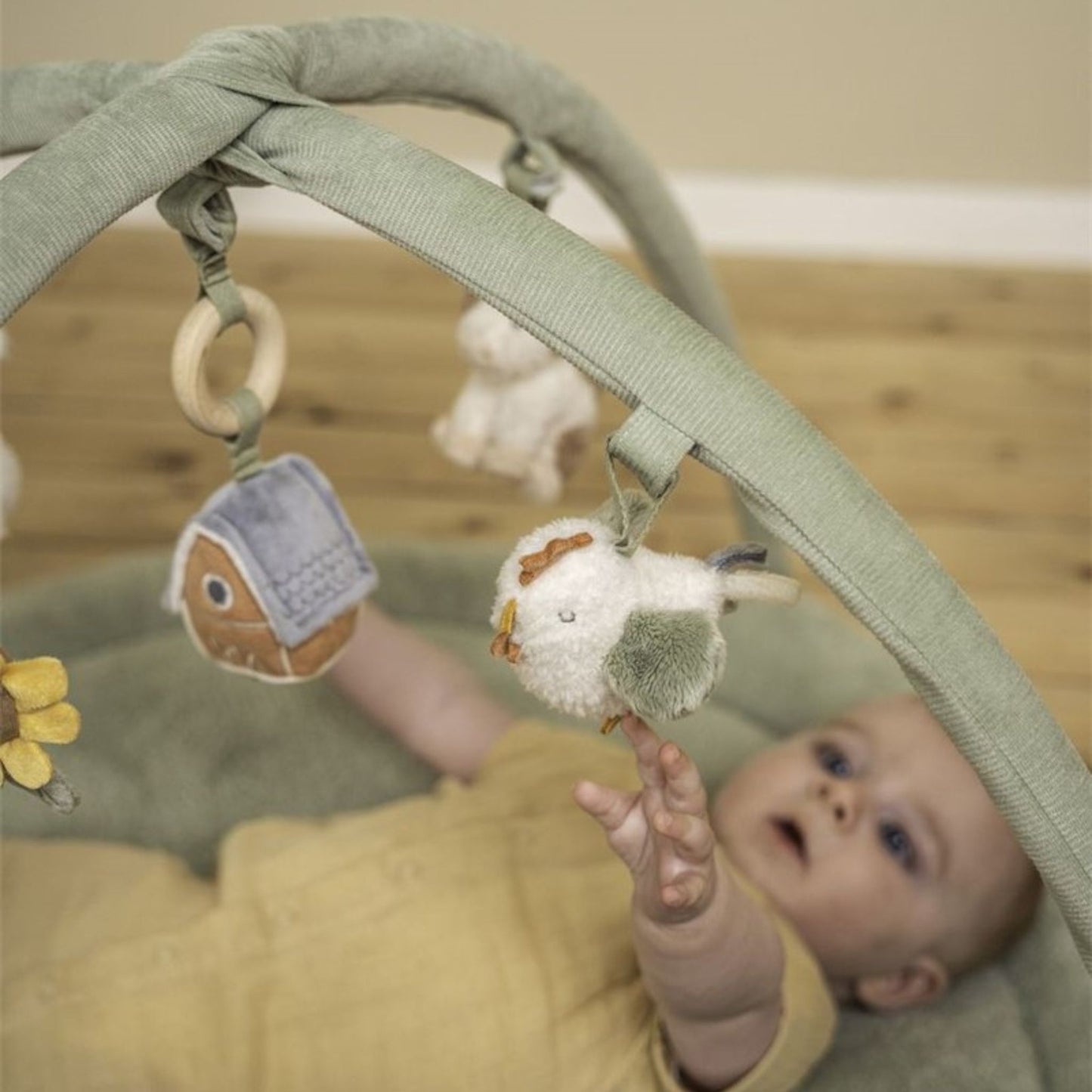 Little Farm Play and Activity Blanket