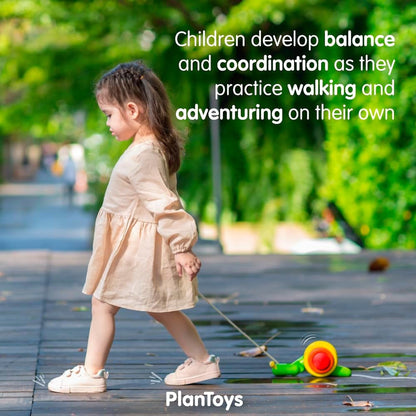 Passeio de caracol, arrasto de madeira