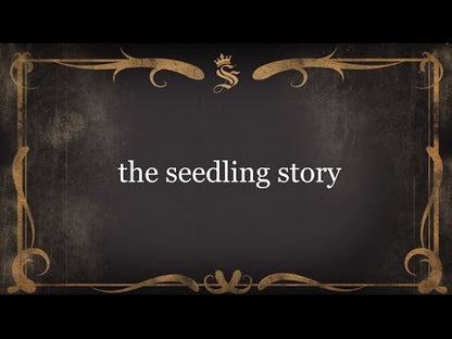 Indian Feather Headdress to design, creative toy